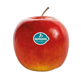 Morgana® appel